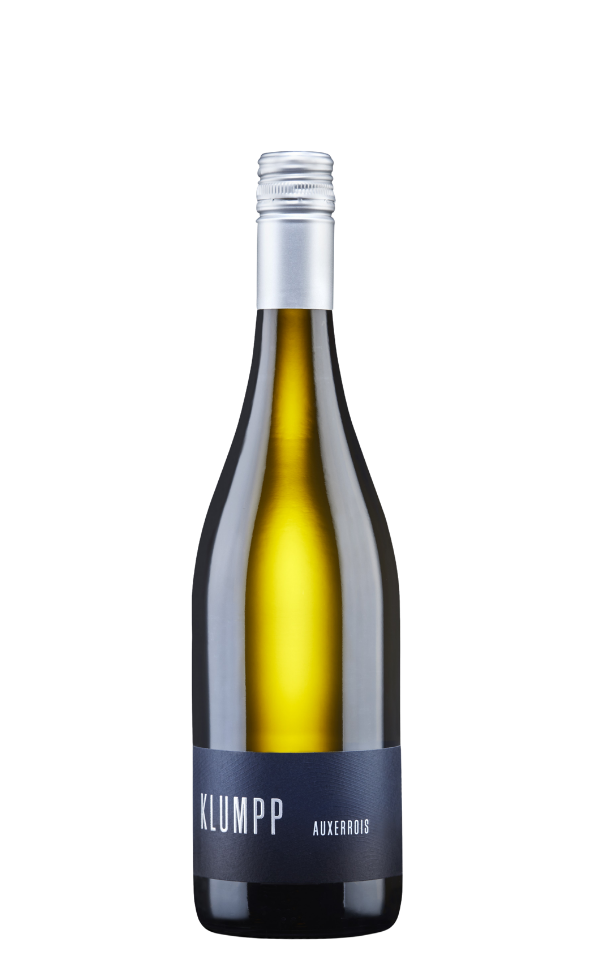 2025 Auxerrois
